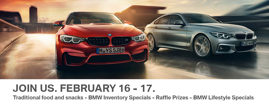 Feb 2018 CNY webpage banner